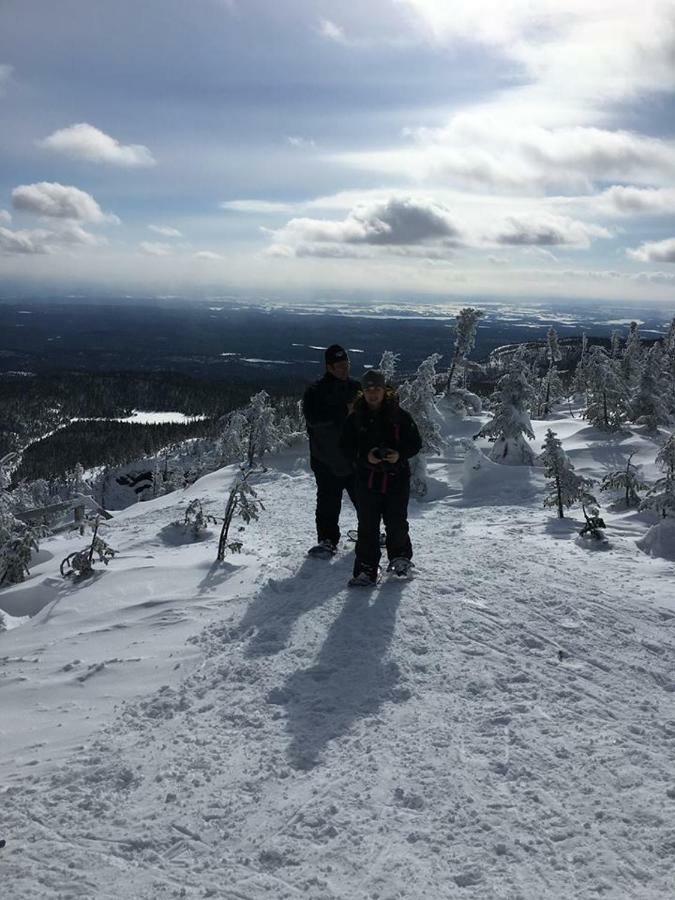 Au Pied Des Monts-Valin, Hebergement Touristique Saint-Honore ภายนอก รูปภาพ